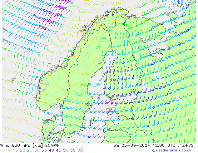 wiatr 900 hPa ECMWF śro. 25.09.2024 12 UTC