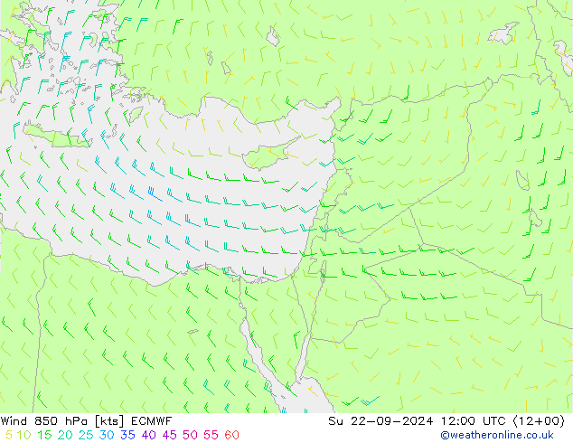  850 hPa ECMWF  22.09.2024 12 UTC