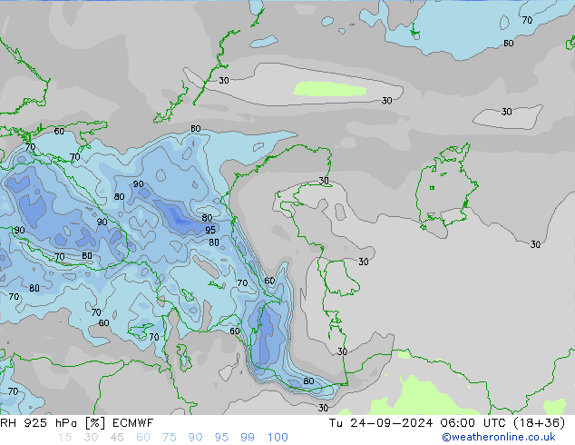 RH 925 гПа ECMWF вт 24.09.2024 06 UTC