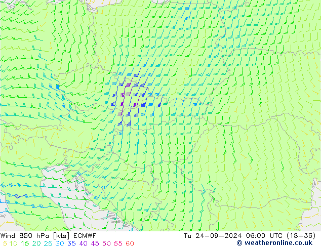 Rüzgar 850 hPa ECMWF Sa 24.09.2024 06 UTC