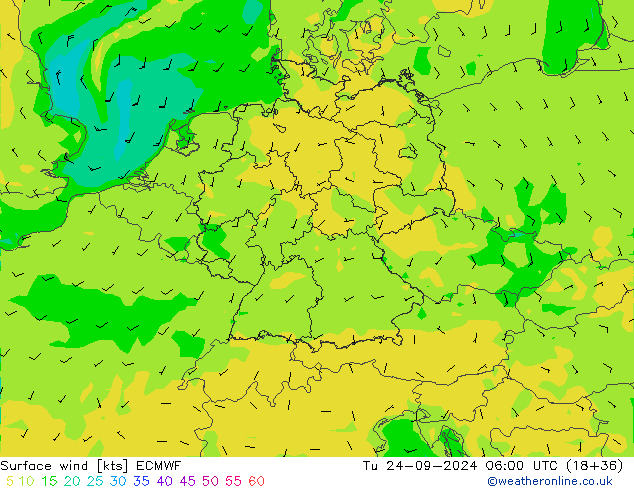 Surface wind ECMWF Tu 24.09.2024 06 UTC