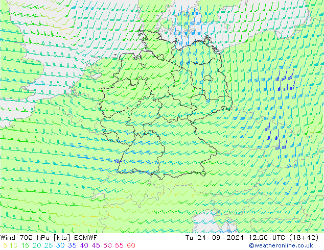 ветер 700 гПа ECMWF вт 24.09.2024 12 UTC