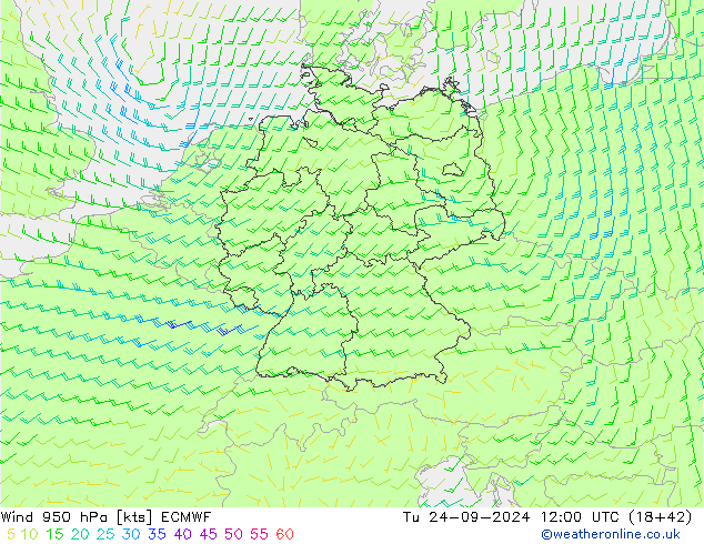 ветер 950 гПа ECMWF вт 24.09.2024 12 UTC