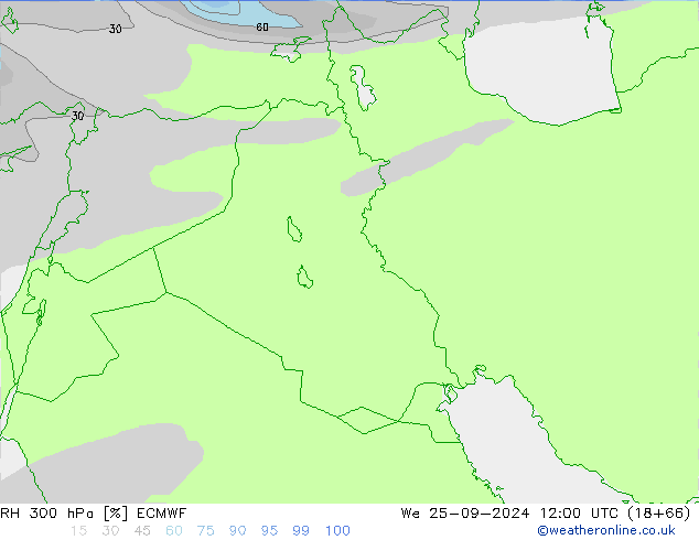 RV 300 hPa ECMWF wo 25.09.2024 12 UTC