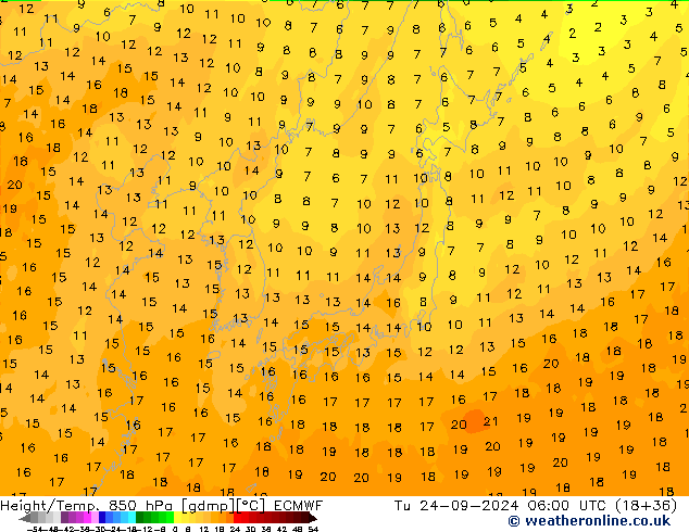 Z500/Rain (+SLP)/Z850 ECMWF Di 24.09.2024 06 UTC