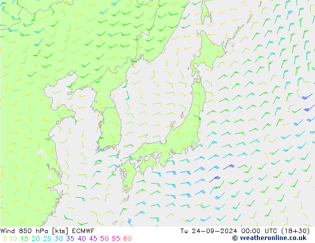 Wind 850 hPa ECMWF Di 24.09.2024 00 UTC