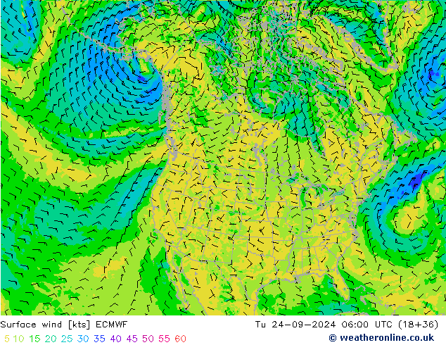  10 m ECMWF  24.09.2024 06 UTC