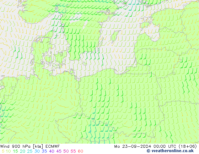 ветер 900 гПа ECMWF пн 23.09.2024 00 UTC