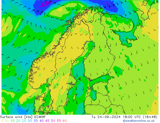 Surface wind ECMWF Tu 24.09.2024 18 UTC