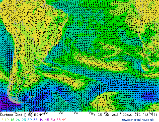 Surface wind ECMWF We 25.09.2024 09 UTC