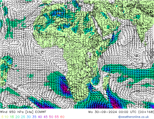 ветер 950 гПа ECMWF пн 30.09.2024 00 UTC