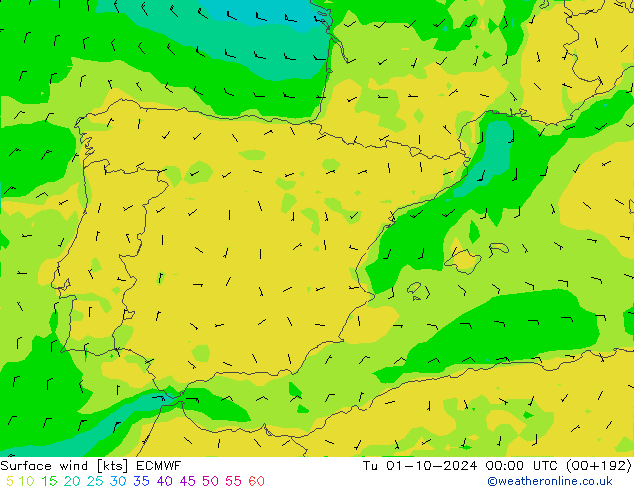  10 m ECMWF  01.10.2024 00 UTC