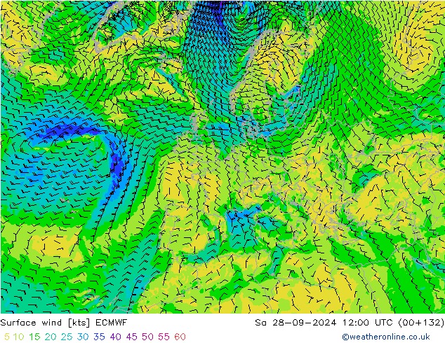 Surface wind ECMWF Sa 28.09.2024 12 UTC