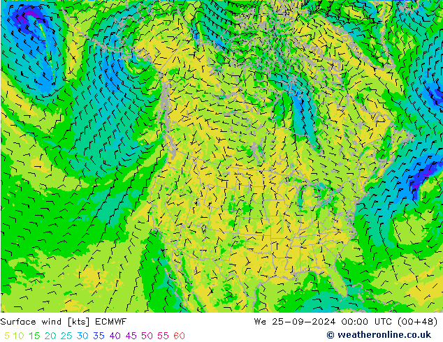 Surface wind ECMWF We 25.09.2024 00 UTC