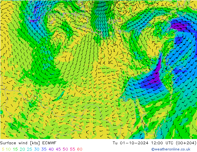 Surface wind ECMWF Tu 01.10.2024 12 UTC