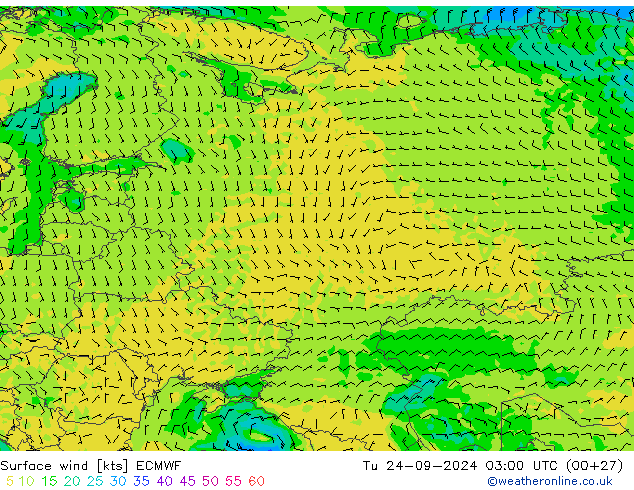 Surface wind ECMWF Út 24.09.2024 03 UTC