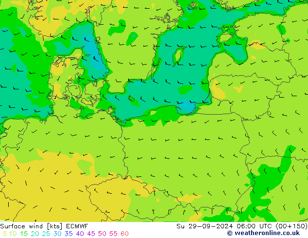 Surface wind ECMWF Su 29.09.2024 06 UTC