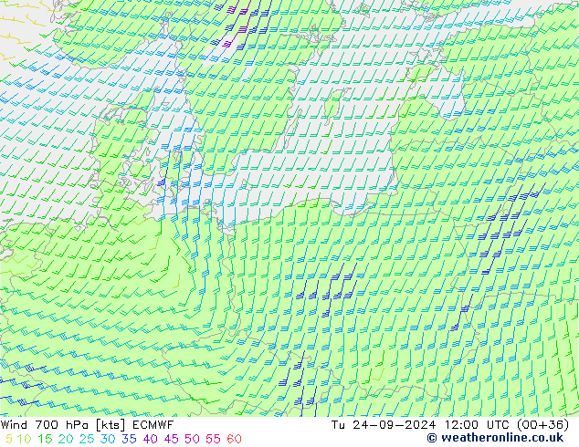 Rüzgar 700 hPa ECMWF Sa 24.09.2024 12 UTC