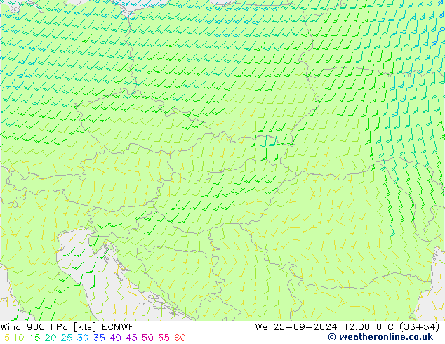 ветер 900 гПа ECMWF ср 25.09.2024 12 UTC