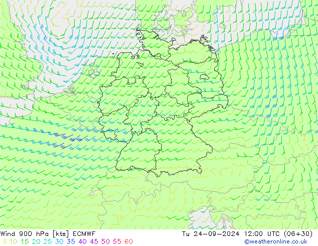 ветер 900 гПа ECMWF вт 24.09.2024 12 UTC