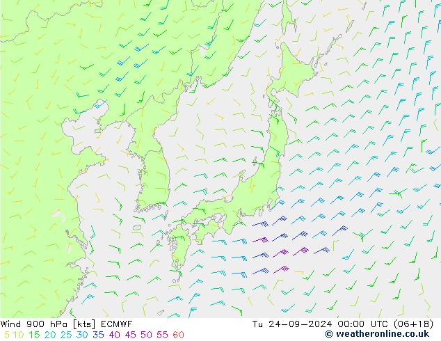 Rüzgar 900 hPa ECMWF Sa 24.09.2024 00 UTC