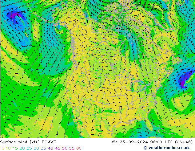 ветер 10 m ECMWF ср 25.09.2024 06 UTC