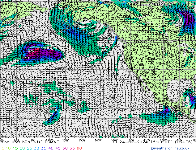 Wind 950 hPa ECMWF Tu 24.09.2024 18 UTC