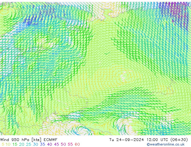 wiatr 950 hPa ECMWF wto. 24.09.2024 12 UTC