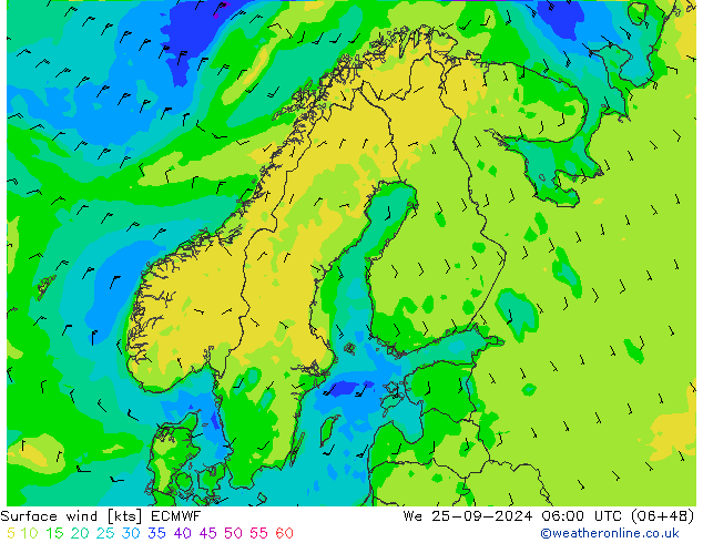 Surface wind ECMWF We 25.09.2024 06 UTC