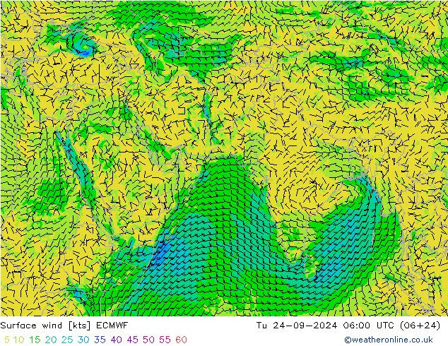 Surface wind ECMWF Tu 24.09.2024 06 UTC