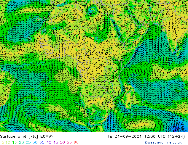 Wind 10 m ECMWF di 24.09.2024 12 UTC