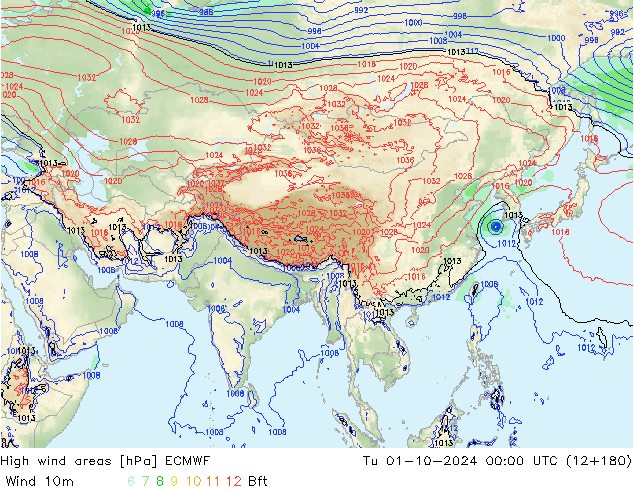 High wind areas ECMWF Tu 01.10.2024 00 UTC