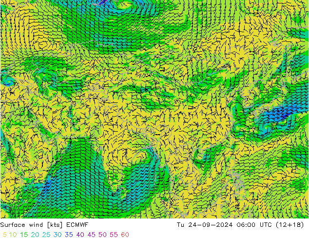 ветер 10 m ECMWF вт 24.09.2024 06 UTC