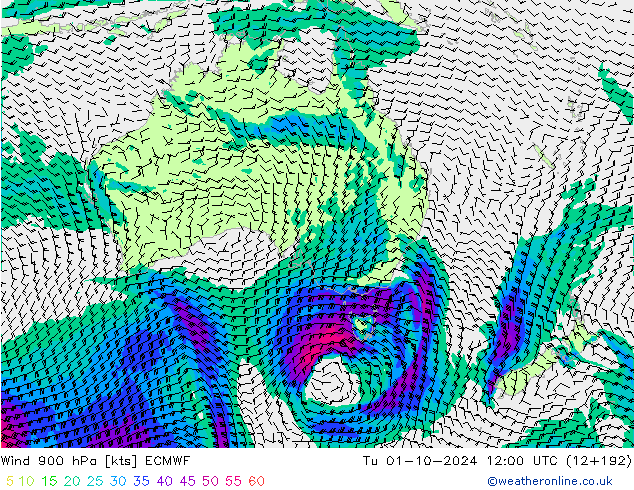  900 hPa ECMWF  01.10.2024 12 UTC