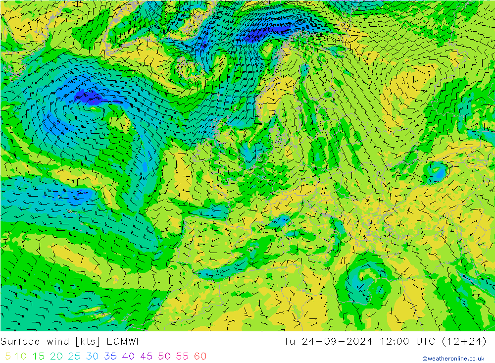 Surface wind ECMWF Tu 24.09.2024 12 UTC