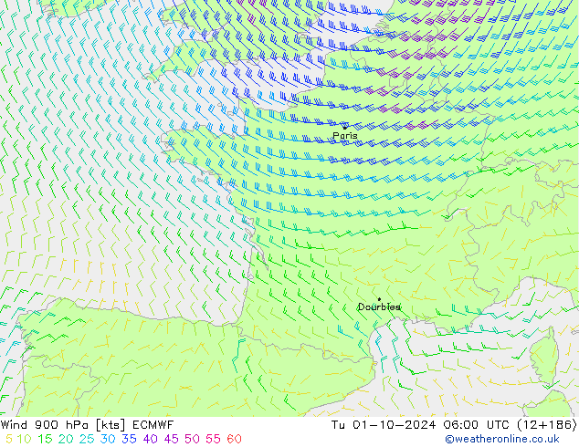 ветер 900 гПа ECMWF вт 01.10.2024 06 UTC