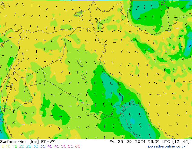 Vento 10 m ECMWF Qua 25.09.2024 06 UTC