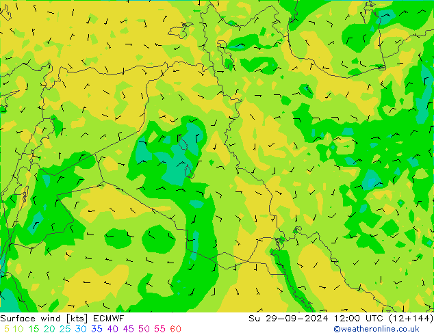 Surface wind ECMWF Su 29.09.2024 12 UTC