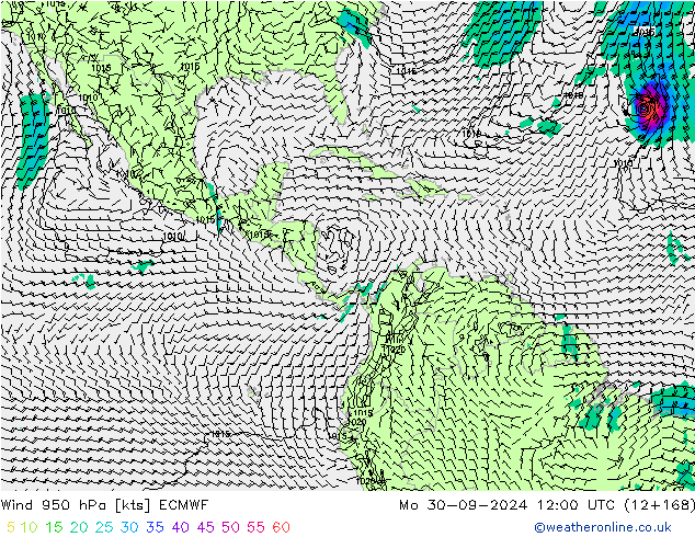 Wind 950 hPa ECMWF Mo 30.09.2024 12 UTC