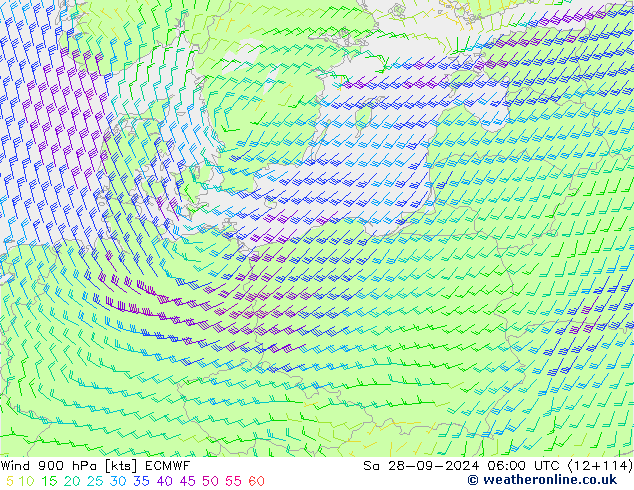 wiatr 900 hPa ECMWF so. 28.09.2024 06 UTC