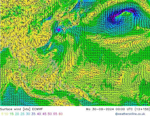 Wind 10 m ECMWF ma 30.09.2024 00 UTC