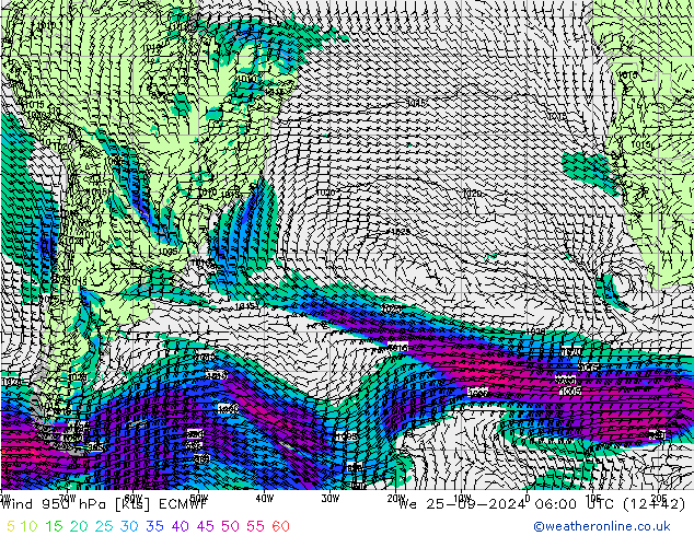  950 hPa ECMWF  25.09.2024 06 UTC