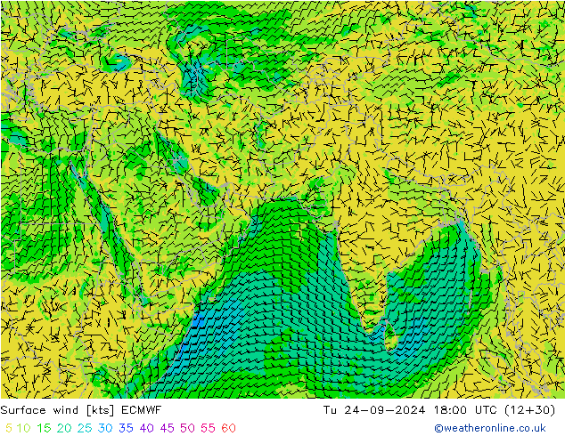 Wind 10 m ECMWF di 24.09.2024 18 UTC