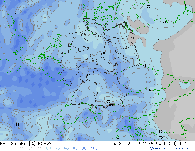 RH 925 гПа ECMWF вт 24.09.2024 06 UTC