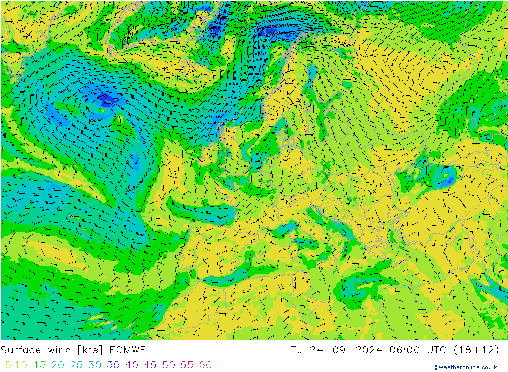 ветер 10 m ECMWF вт 24.09.2024 06 UTC