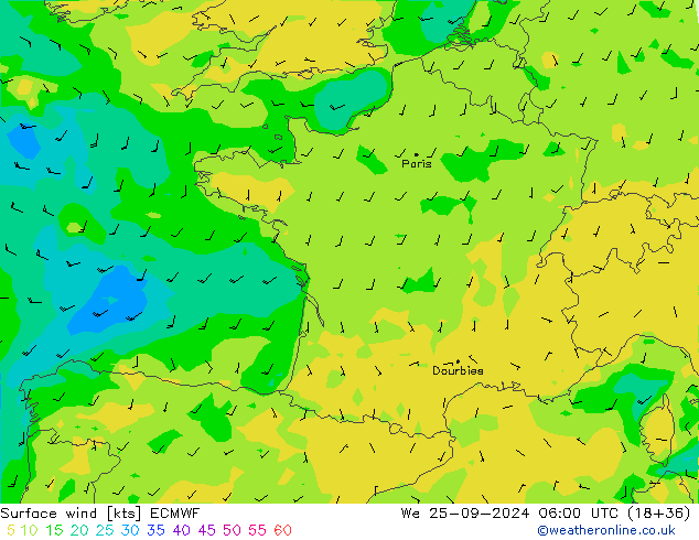 Surface wind ECMWF We 25.09.2024 06 UTC