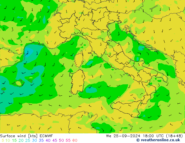 Surface wind ECMWF We 25.09.2024 18 UTC