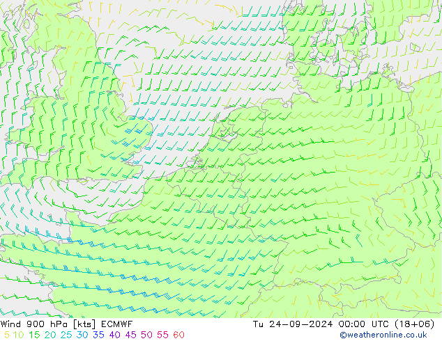 Wind 900 hPa ECMWF Tu 24.09.2024 00 UTC