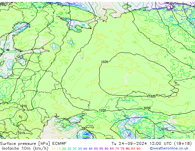 Isotachen (km/h) ECMWF Di 24.09.2024 12 UTC