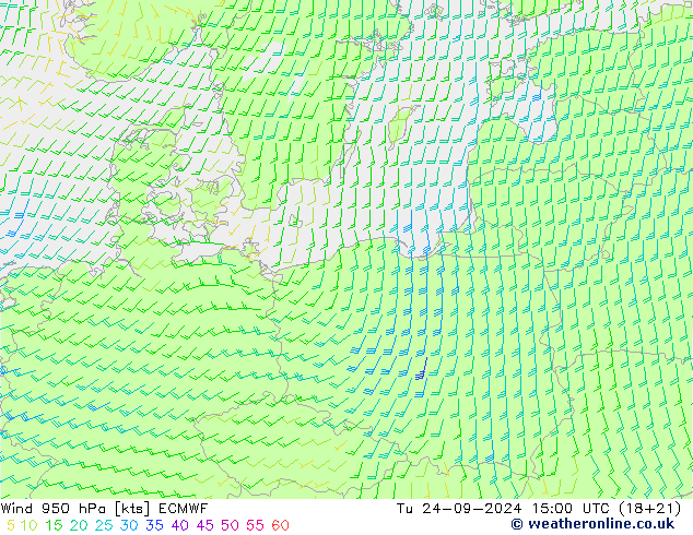 wiatr 950 hPa ECMWF wto. 24.09.2024 15 UTC